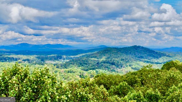 391 Little Bushy Head Road, Blue Ridge, GA 30513