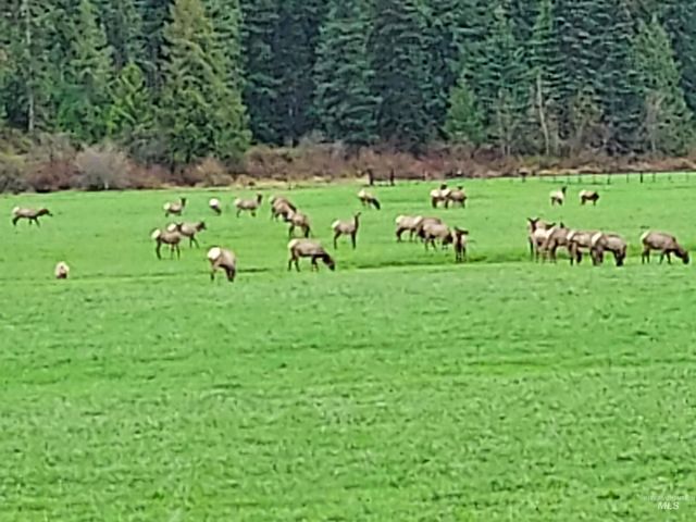 12412 St Joe River Rd, St. Maries, ID 83861