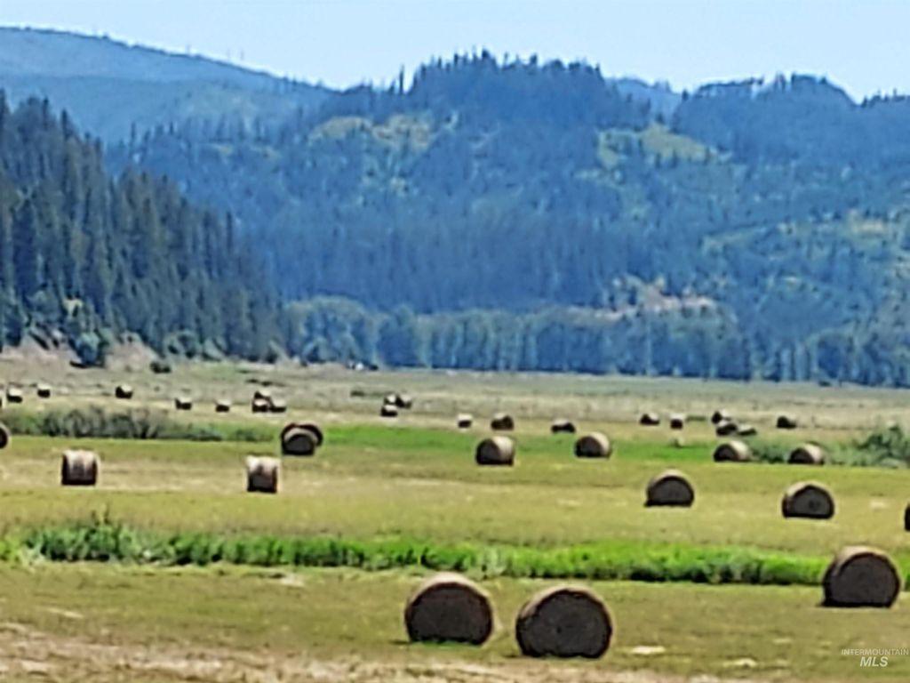 12412 St Joe River Rd, St. Maries, ID 83861