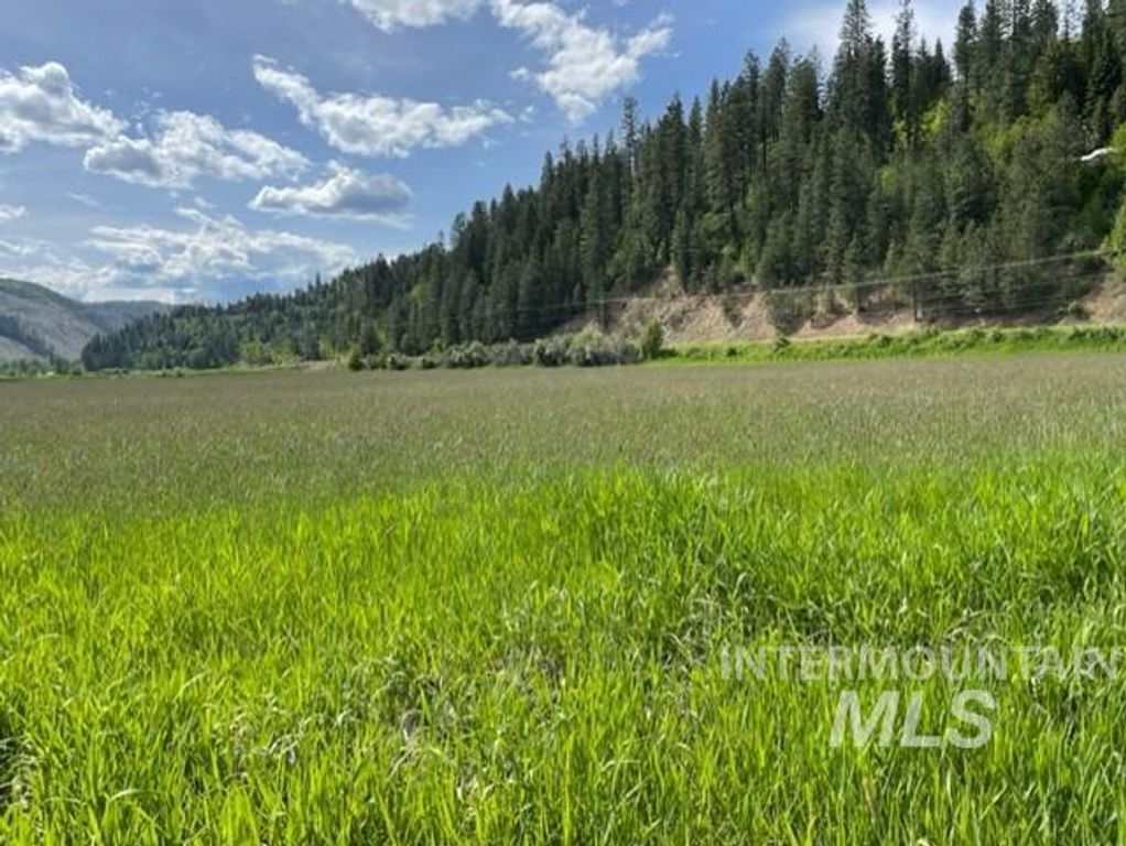 12412 St Joe River Rd, St. Maries, ID 83861 photo 8