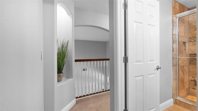 20101 FAIR HILL WAY, Tampa, FL 33647