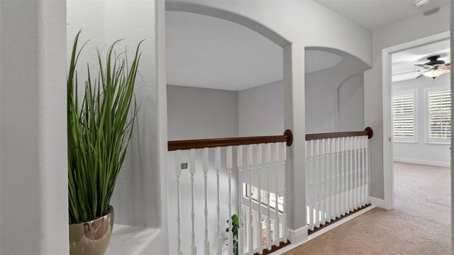 20101 FAIR HILL WAY, Tampa, FL 33647