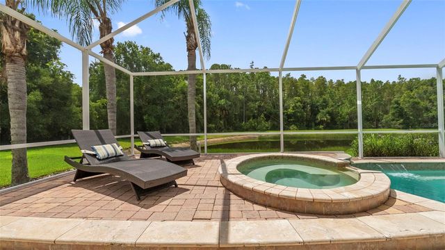 20101 FAIR HILL WAY, Tampa, FL 33647