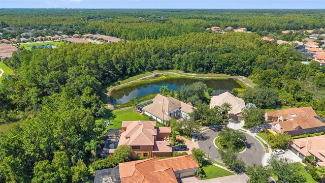 20101 FAIR HILL WAY, Tampa, FL 33647