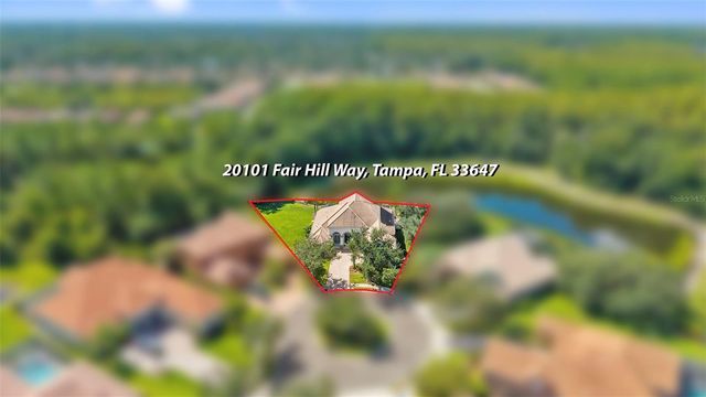 20101 FAIR HILL WAY, Tampa, FL 33647