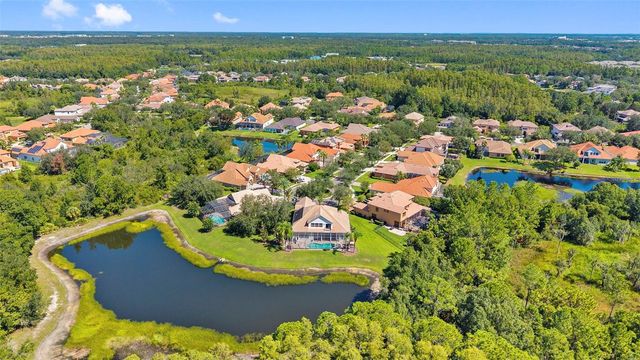 20101 FAIR HILL WAY, Tampa, FL 33647