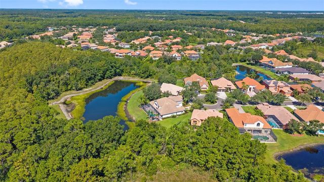 20101 FAIR HILL WAY, Tampa, FL 33647