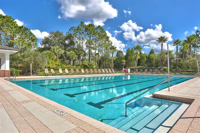 20101 FAIR HILL WAY, Tampa, FL 33647