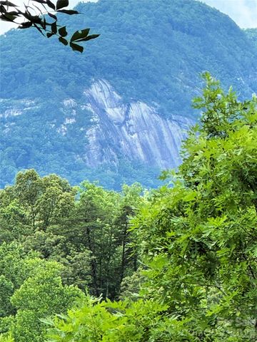 00 Herman Wilson Road, Lake Lure, NC 28746