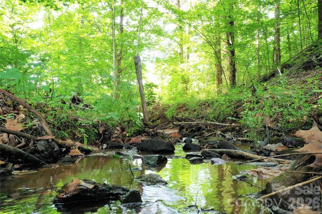 00 Herman Wilson Road, Lake Lure, NC 28746
