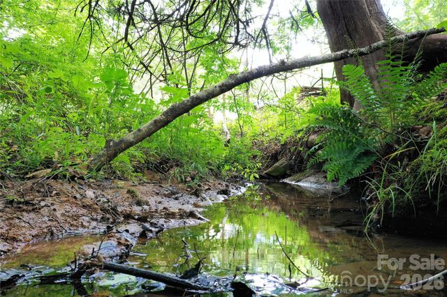 00 Herman Wilson Road, Lake Lure, NC 28746