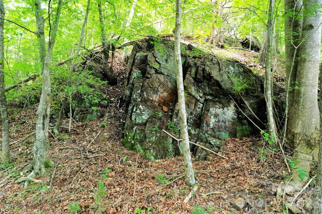 00 Herman Wilson Road, Lake Lure, NC 28746