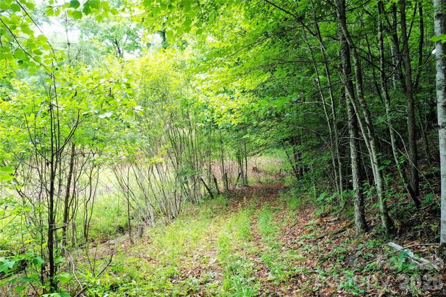 00 Herman Wilson Road, Lake Lure, NC 28746