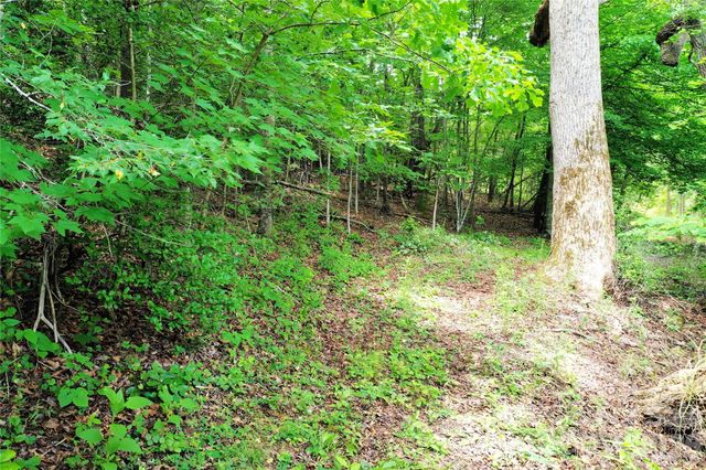 00 Herman Wilson Road, Lake Lure, NC 28746