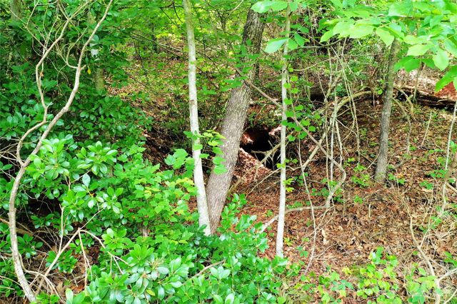 00 Herman Wilson Road, Lake Lure, NC 28746