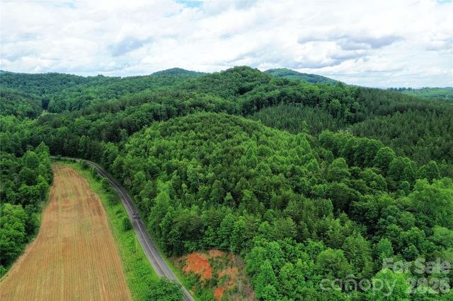 00 Herman Wilson Road, Lake Lure, NC 28746