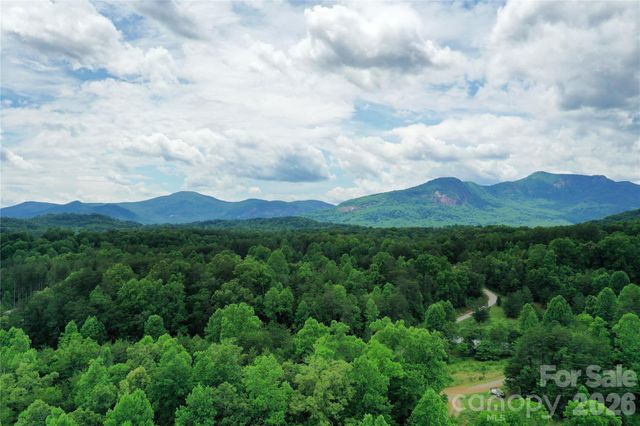 00 Herman Wilson Road, Lake Lure, NC 28746