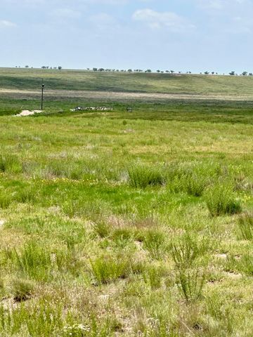 5100 CR L, Stratford, TX 79084