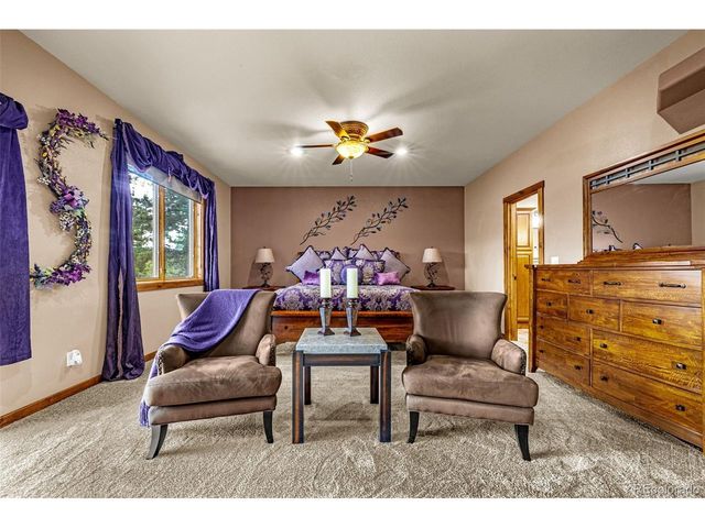 791 Skyline Dr, Woodland Park, CO 80863