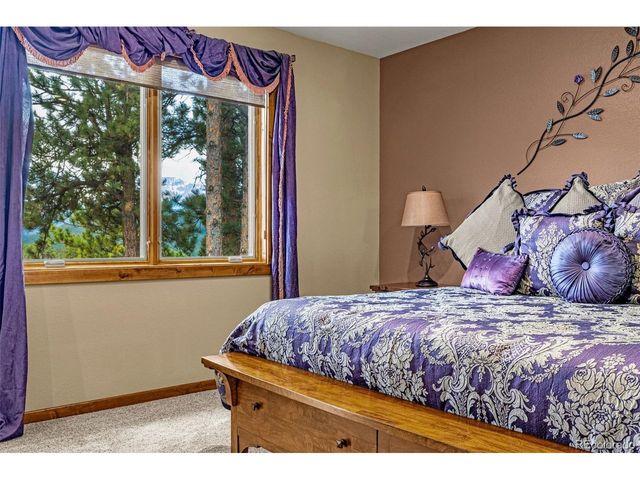 791 Skyline Dr, Woodland Park, CO 80863