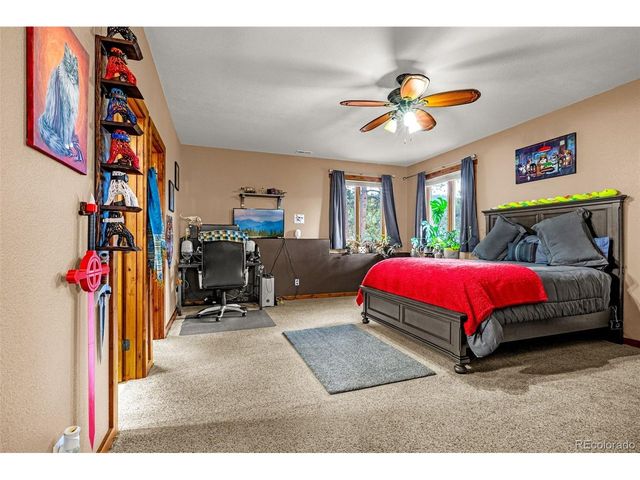 791 Skyline Dr, Woodland Park, CO 80863