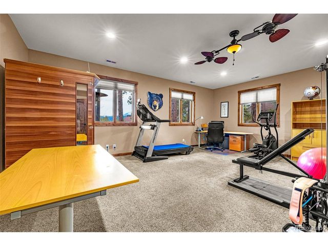 791 Skyline Dr, Woodland Park, CO 80863
