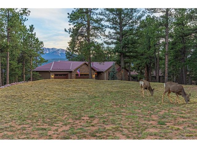 791 Skyline Dr, Woodland Park, CO 80863