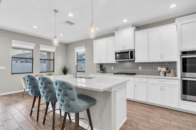 12396 FITZROY STREET, Odessa, FL 33556