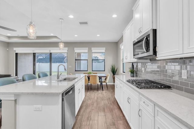 12396 FITZROY STREET, Odessa, FL 33556