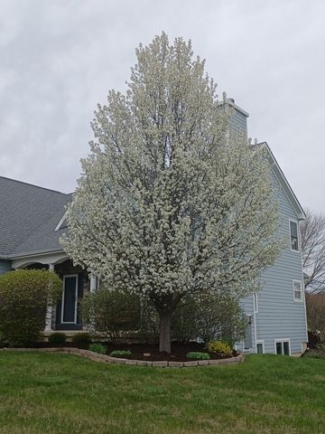 10918 Williams Court, Woodstock, IL 60098