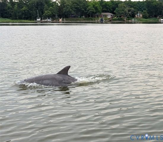 82 Westmoreland Blvd, Hague, VA 22469