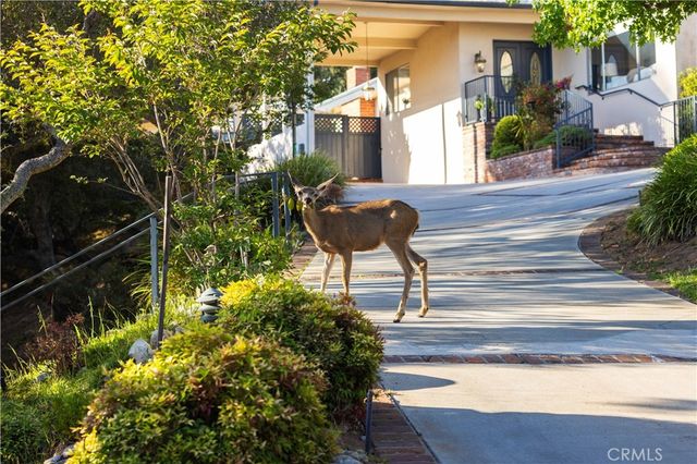 1001 Briarcliff, Monrovia, CA 91016