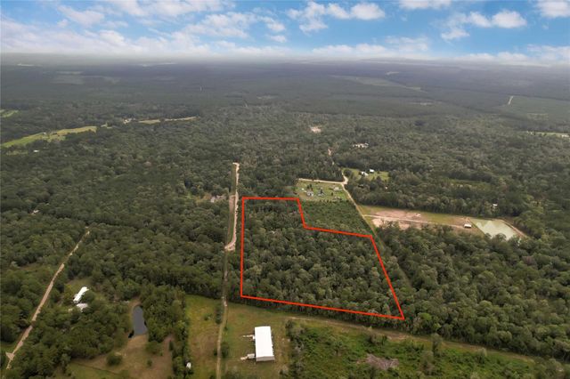 295 Hollywood Street, Livingston, TX 77351