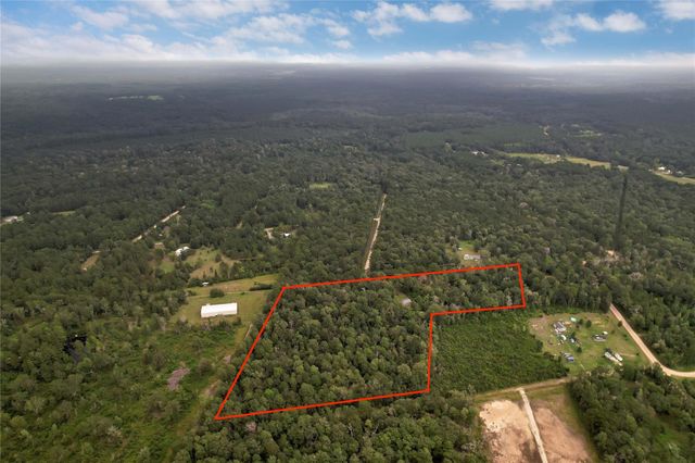 295 Hollywood Street, Livingston, TX 77351