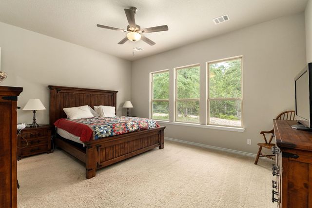 16952 Tierra Buena Drive, Plantersville, TX 77363