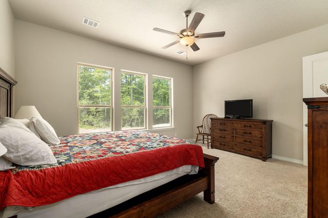 16952 Tierra Buena Drive, Plantersville, TX 77363