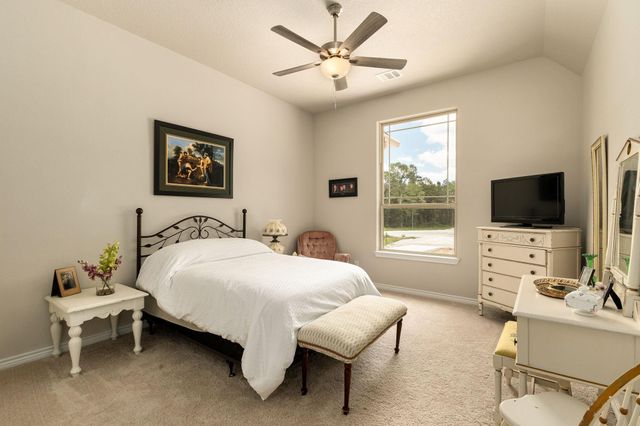 16952 Tierra Buena Drive, Plantersville, TX 77363