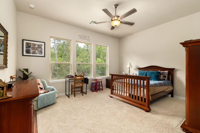 16952 Tierra Buena Drive, Plantersville, TX 77363