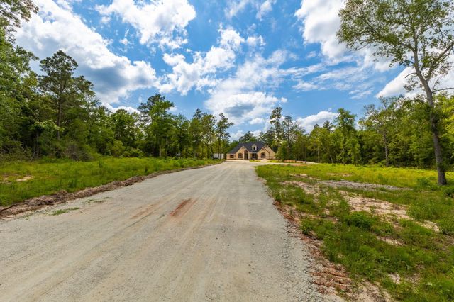 16952 Tierra Buena Drive, Plantersville, TX 77363