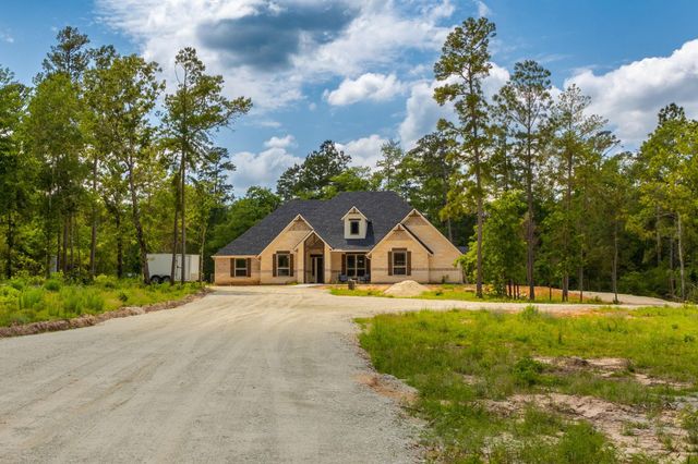 16952 Tierra Buena Drive, Plantersville, TX 77363