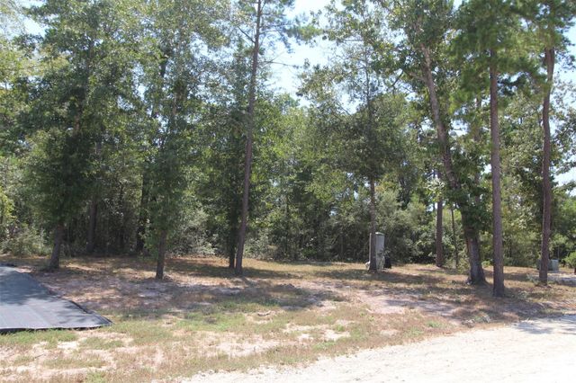 16952 Tierra Buena Drive, Plantersville, TX 77363