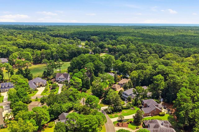 163 Red Tail Hawk Loop, Pawleys Island, SC 29585