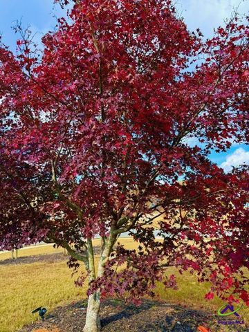 149 Presidents Way, Forsyth, GA 31029