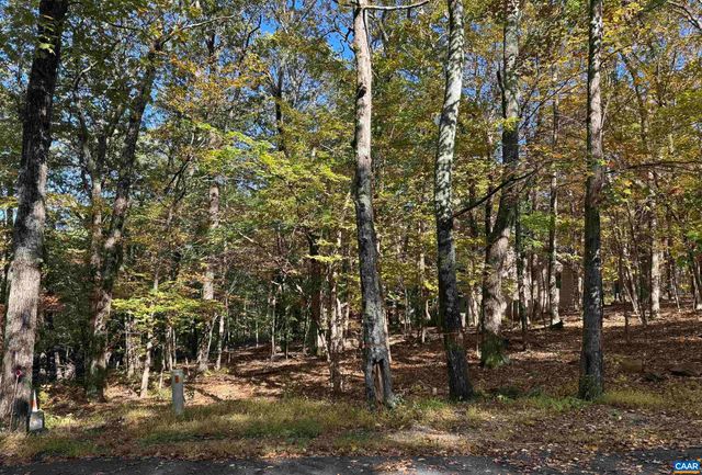 TBD WINTER WREN LN, Wintergreen Resort, VA 22967