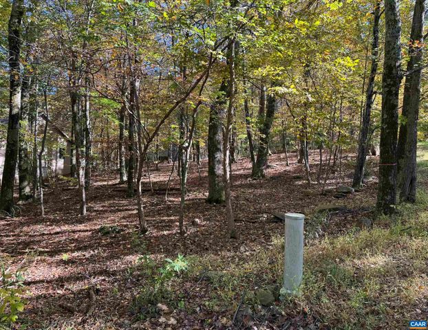 TBD WINTER WREN LN, Wintergreen Resort, VA 22967