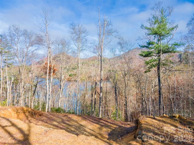 Lot 156 Mandolin Court 156, Tuckasegee, NC 28783