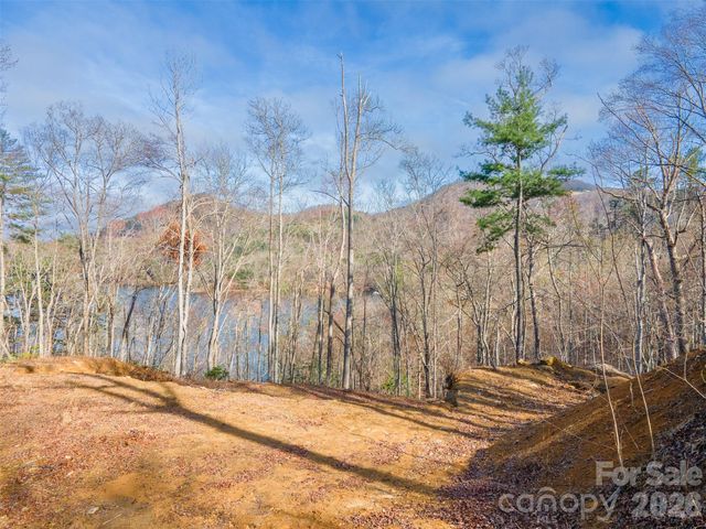 Lot 156 Mandolin Court 156, Tuckasegee, NC 28783