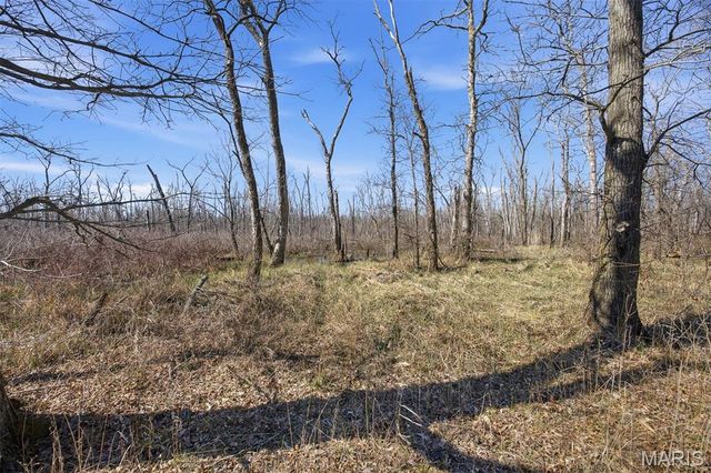 12003 Emerald Road, Carlyle, IL 62231