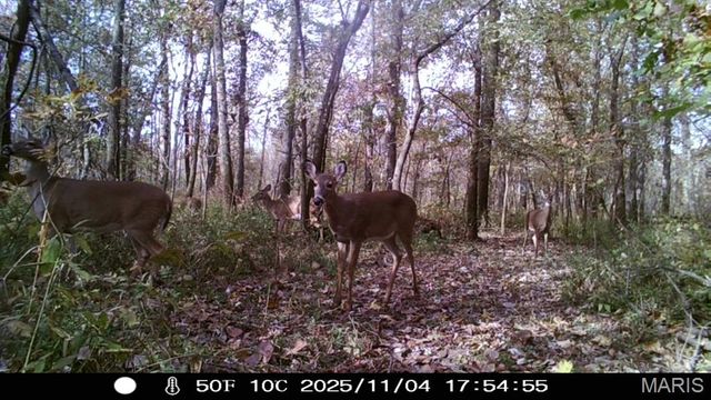 12003 Emerald Road, Carlyle, IL 62231