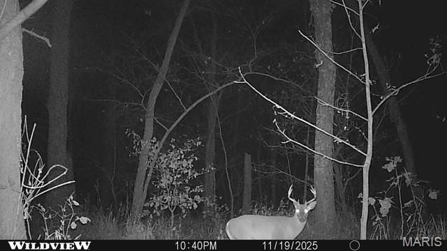 12003 Emerald Road, Carlyle, IL 62231